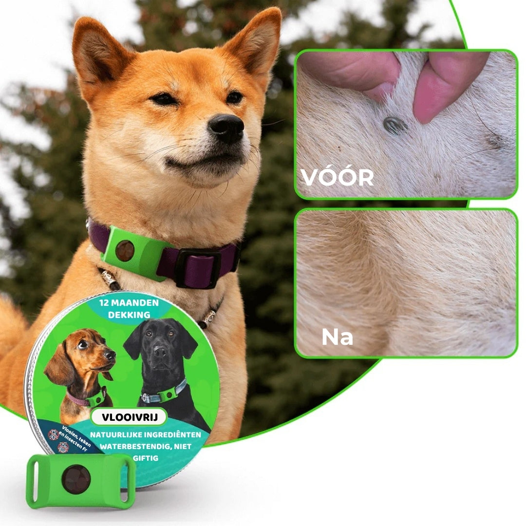 FurLife™ Vlooien- en Teken Dierenhalsband