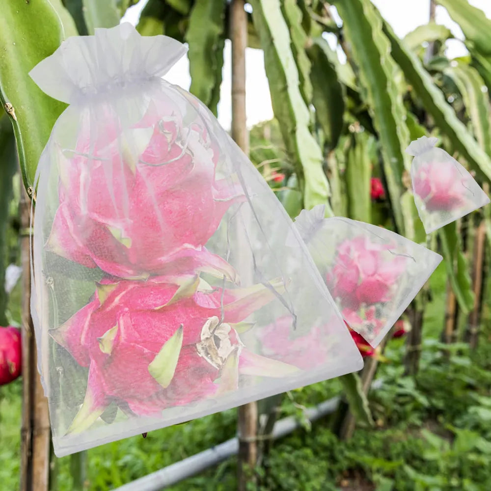 Groenten en Fruit Beschermzakjes - 50 Stuks
