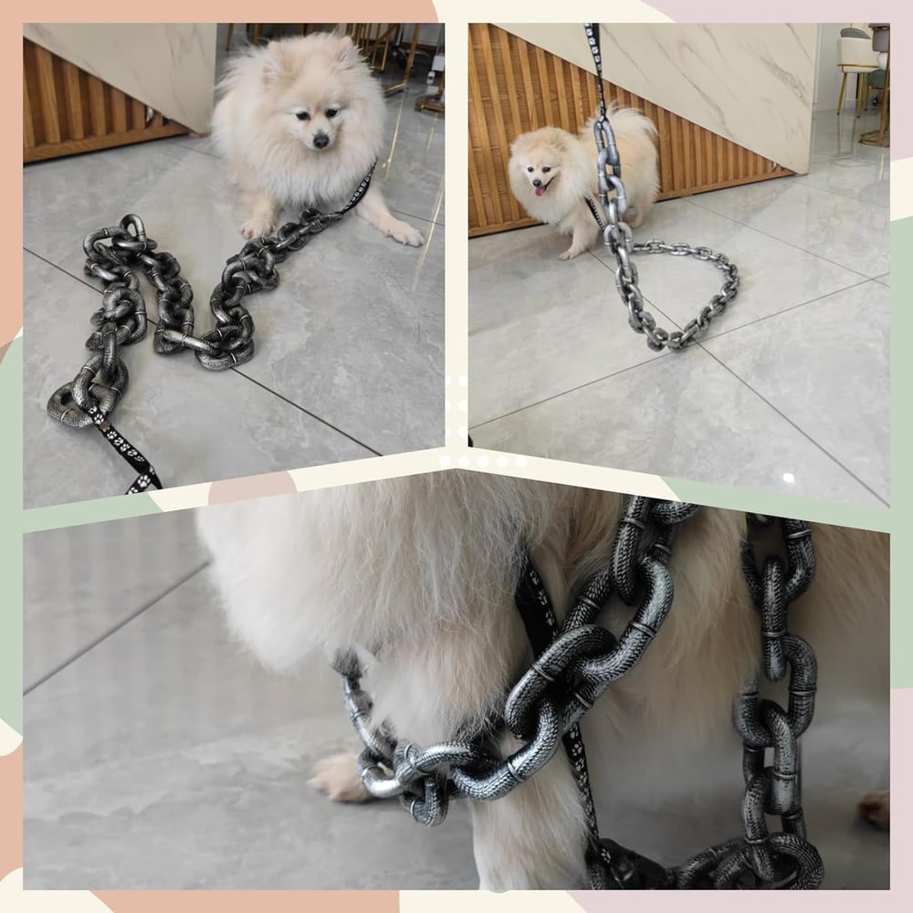 Grappige Ketting Leiband