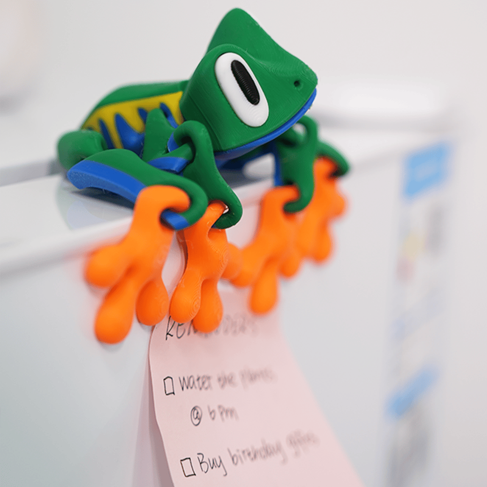 🐸 Magnetische Kikker Koelkastmagneet