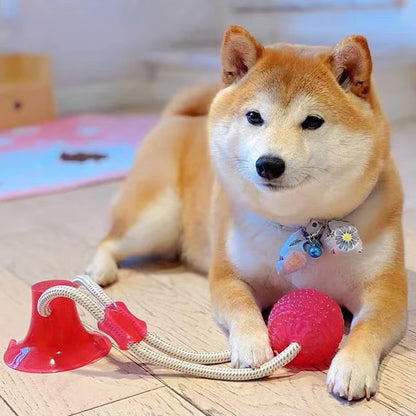 Bijtspeeltje voor honden