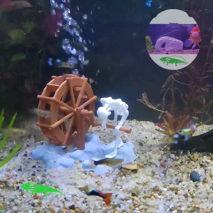 Dynamisch Aquraium Skelet Decoratie