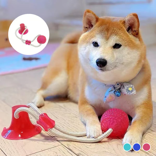 Bijtspeeltje voor honden