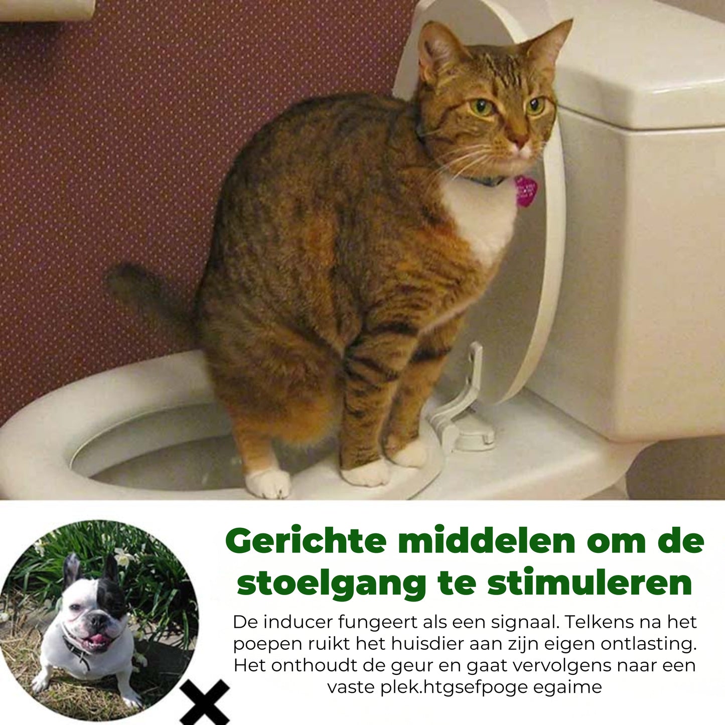 Huisdieren zindelijkheidsspray