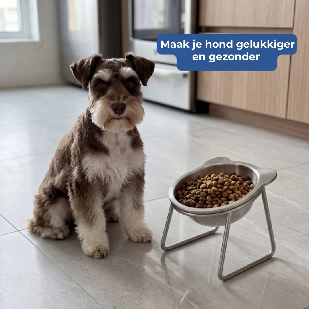Orthopedische Verhoogde Voerbak voor Huisdieren