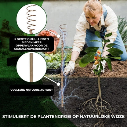 Koperen Elektrocultuurpalen - Groei Bevorderende Plantensteunen - 6 Stuks