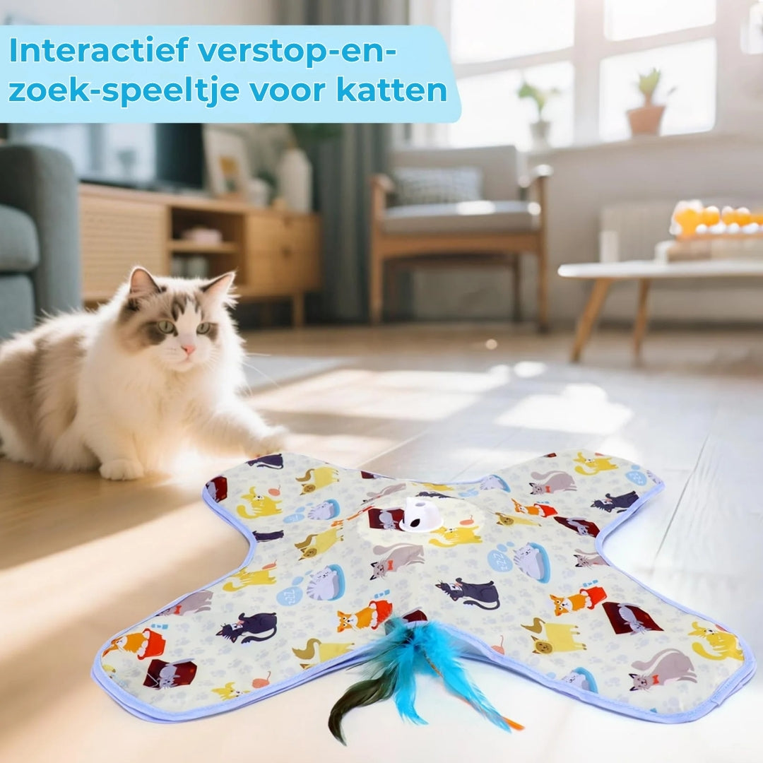 2-in-1 Verstop-en-Zoek Spel voor Katten