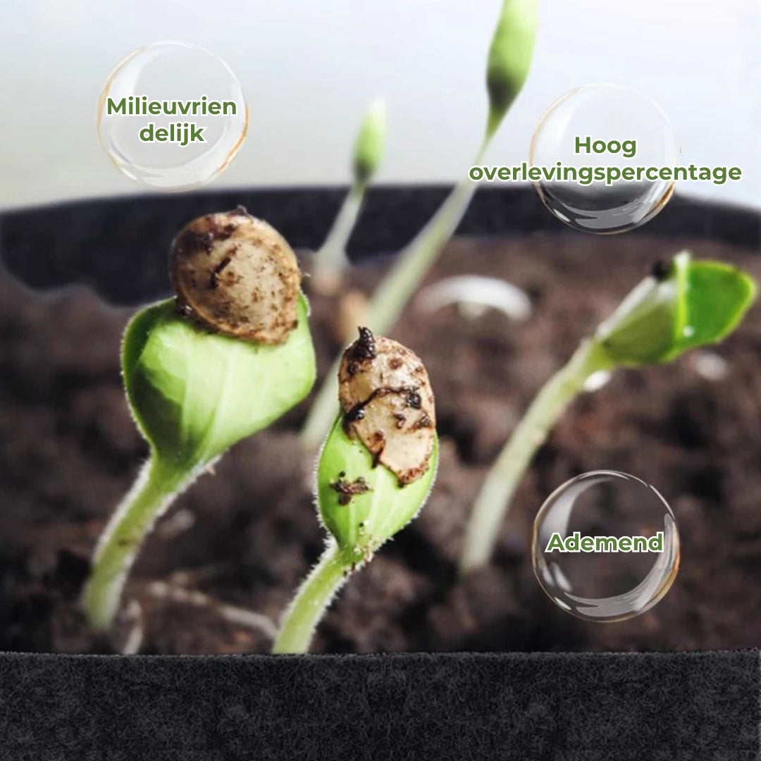 Geotextiele Kweekzak | Microgeperforeerd voor Gezonde Wortels & Planten