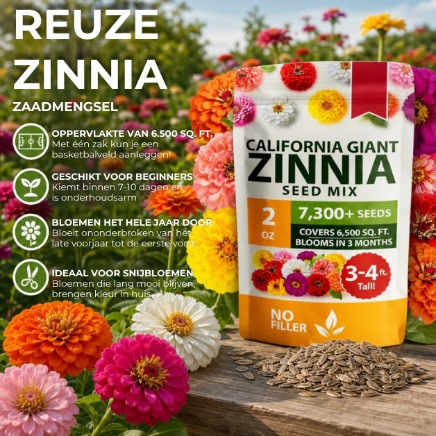 Reuzenzinnia's Zadenmix - 500 Stuks