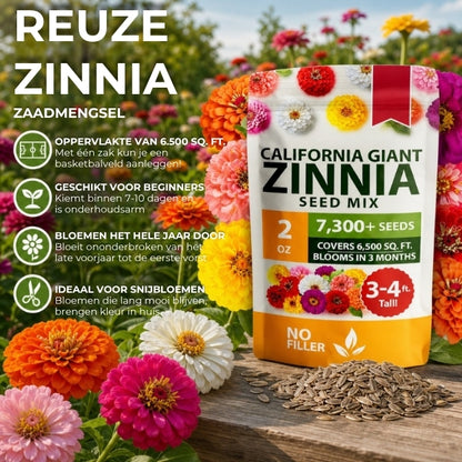 Reuzenzinnia's Zadenmix - 500 Stuks