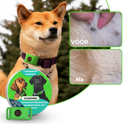 FurLife™ Vlooien- en Teken Dierenhalsband