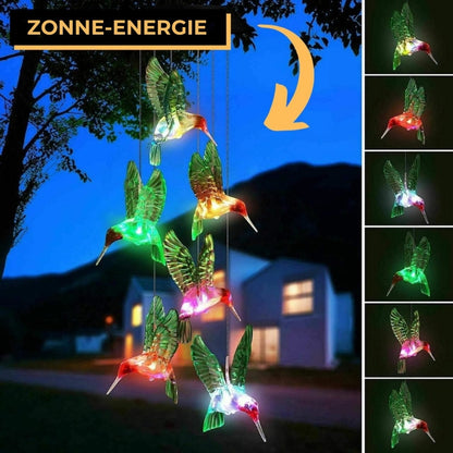 Hangende Kolibri-lampjes op Zonne-energie