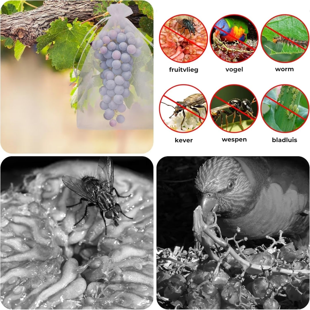Groenten en Fruit Beschermzakjes - 50 Stuks