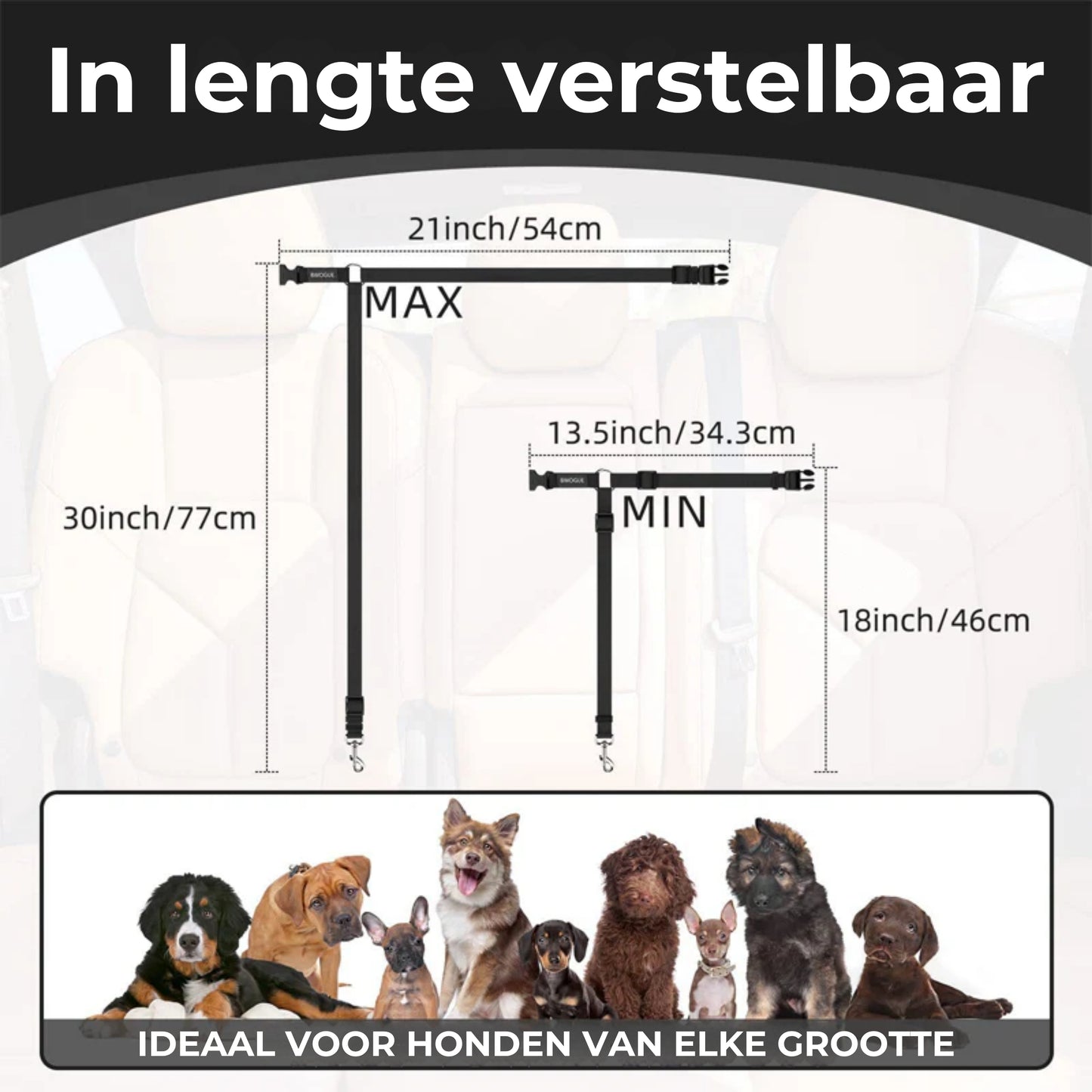 2-in-1 Honden Veiligheidsgordel en Leiband