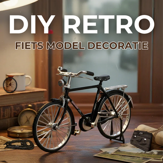 1:10 Miniatuur Fietsmodel van Metaal