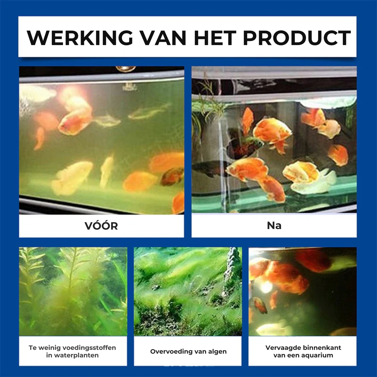 Krachtige Aquariumreiniger