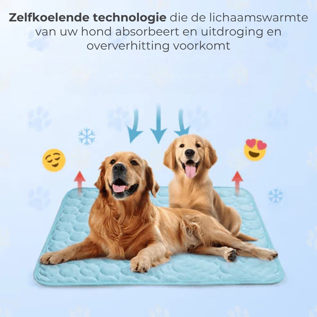 Koelmat voor honden – 4x effectievere verkoeling voor warme zomerdagen ❄️✨