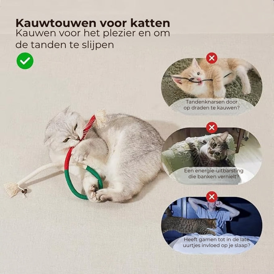 Tandreinigend Speeltouw voor Katten