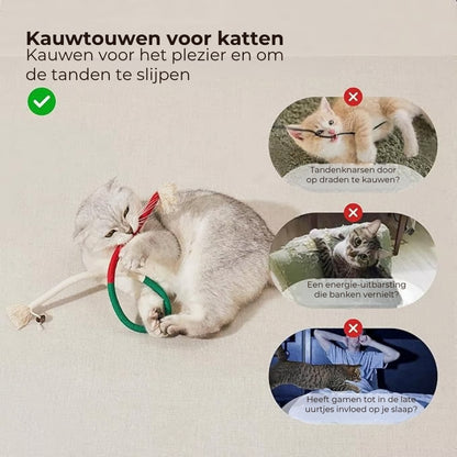 Tandreinigend Speeltouw voor Katten