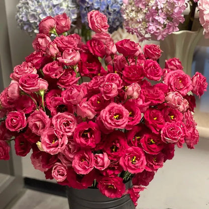 Eustoma Doornloze Rozen Zaden (100 stuks) 💐Lisianthus-zaden