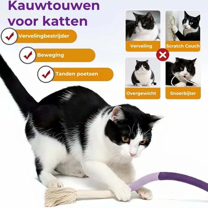 Tandreinigend Speeltouw voor Katten