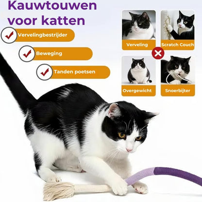 Tandreinigend Speeltouw voor Katten