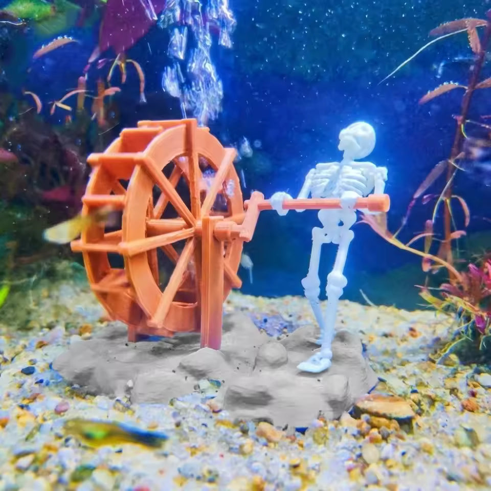 Dynamisch Aquraium Skelet Decoratie