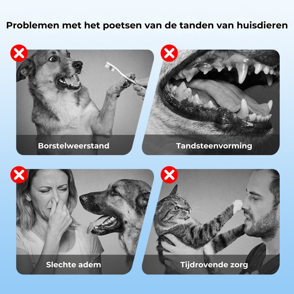 Tandverzorgingsspray voor Huisdieren