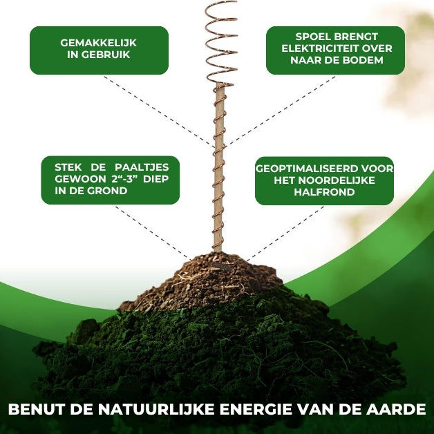 Koperen Elektrocultuurpalen - Groei Bevorderende Plantensteunen - 6 Stuks