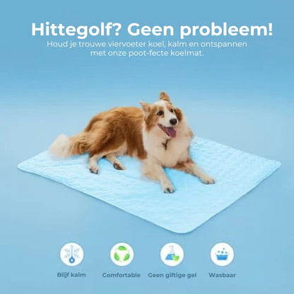Koelmat voor honden – 4x effectievere verkoeling voor warme zomerdagen ❄️✨
