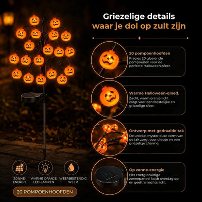 Pompoen Tuinlampen op Zonne-Energie