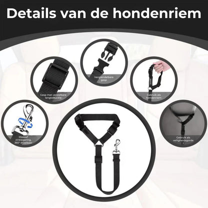 2-in-1 Honden Veiligheidsgordel en Leiband