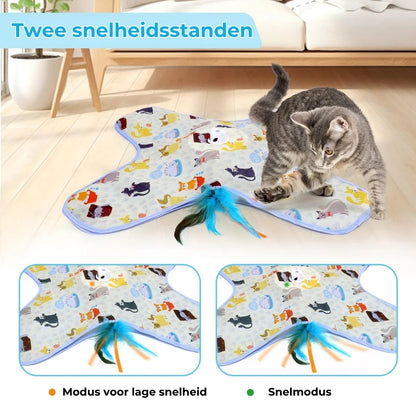 2-in-1 Verstop-en-Zoek Spel voor Katten