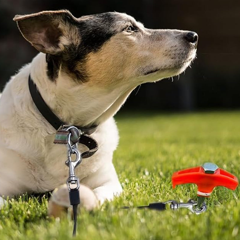 Schroef Tentharingen (4st)