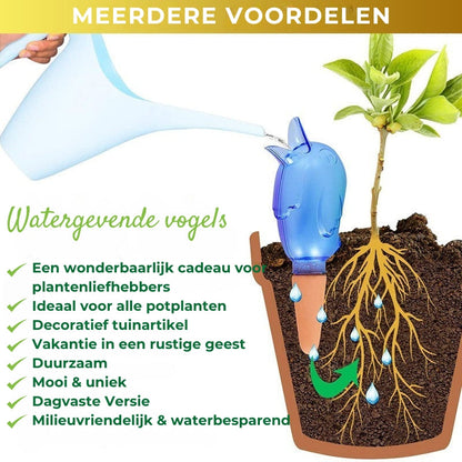 Plantenbewatering Vogel