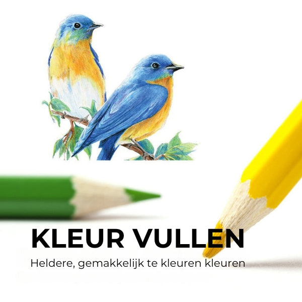 Kleurpotloden set