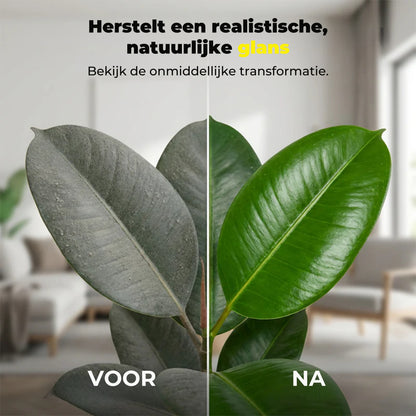 Reinigingsmiddel voor Kunstplanten en -Bloemen