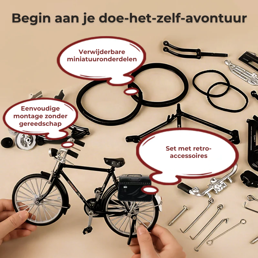 1:10 Miniatuur Fietsmodel van Metaal