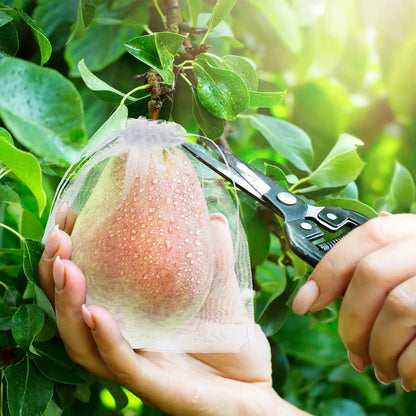 Groenten en Fruit Beschermzakjes - 50 Stuks