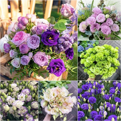 Eustoma Doornloze Rozen Zaden (100 stuks) 💐Lisianthus-zaden