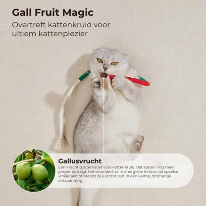 Tandreinigend Speeltouw voor Katten