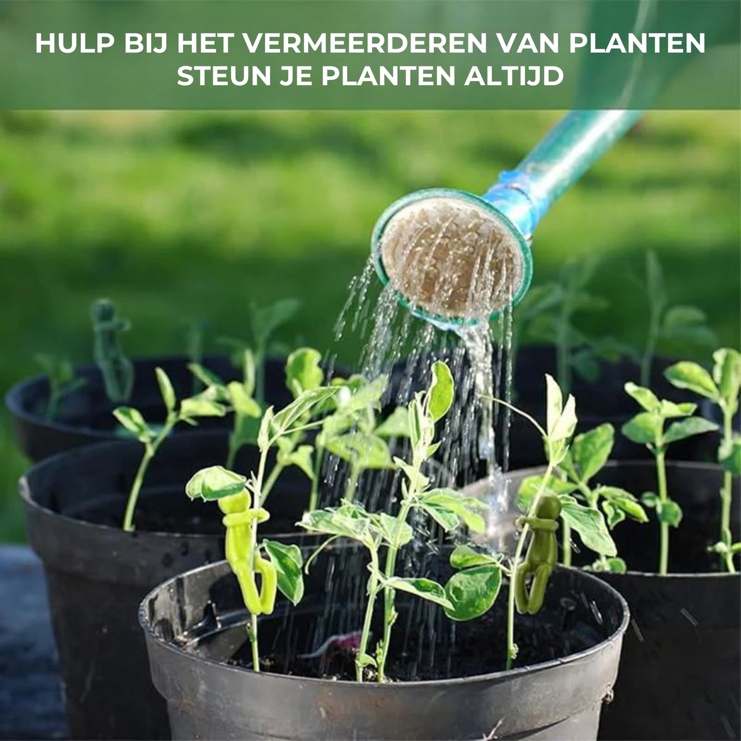 Plant Buddy - Creatieve Plantensteunfiguren (3st)