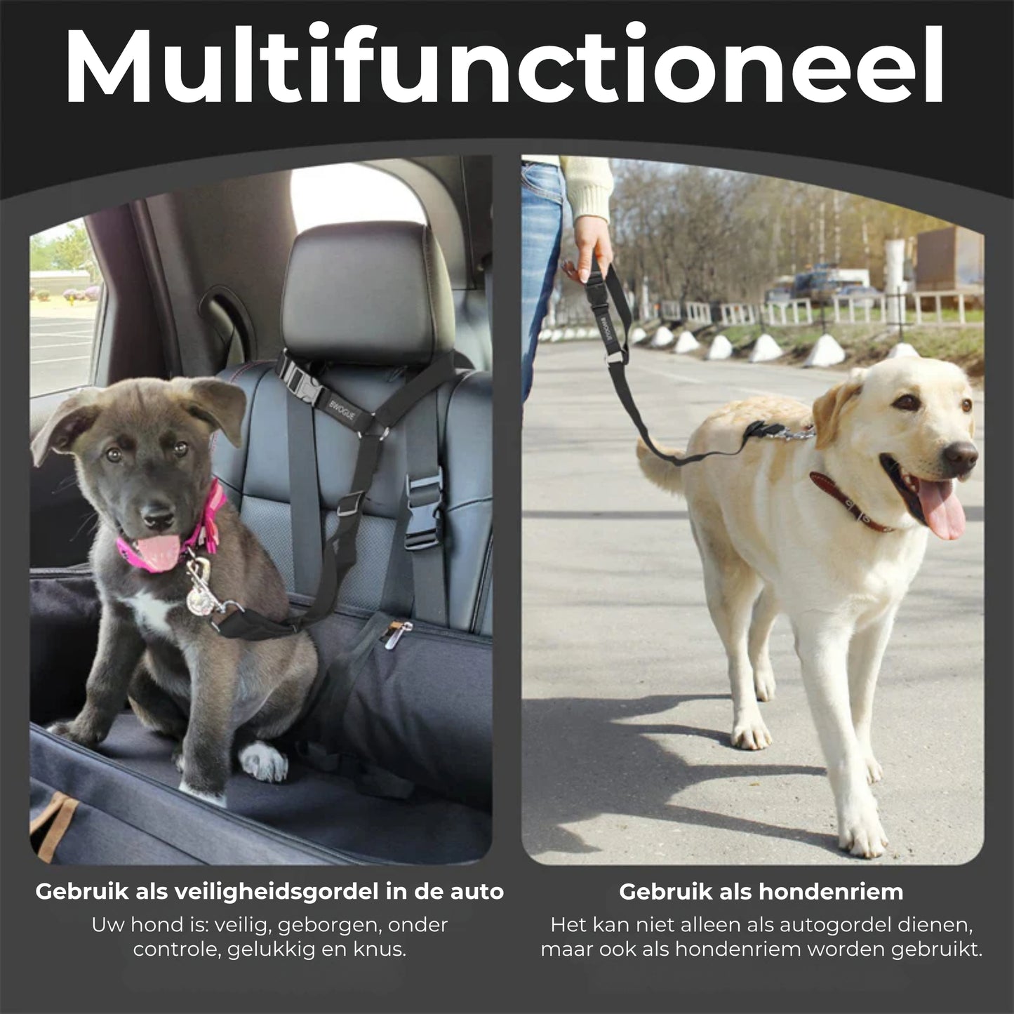 2-in-1 Honden Veiligheidsgordel en Leiband