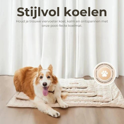 Koelmat voor honden – 4x effectievere verkoeling voor warme zomerdagen ❄️✨