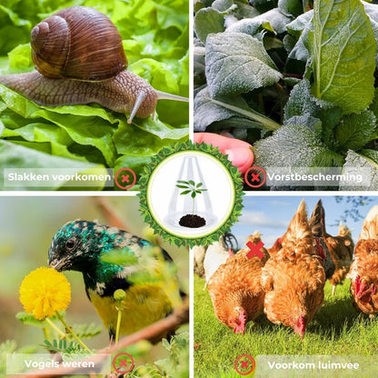 Insectbestendige Beschermhoezen voor Planten - 10 Stuks