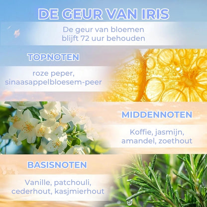 Haaroliespray voor Droog en Pluizig Haar