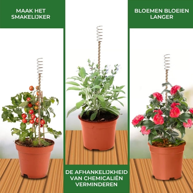 Koperen Elektrocultuurpalen - Groei Bevorderende Plantensteunen - 6 Stuks