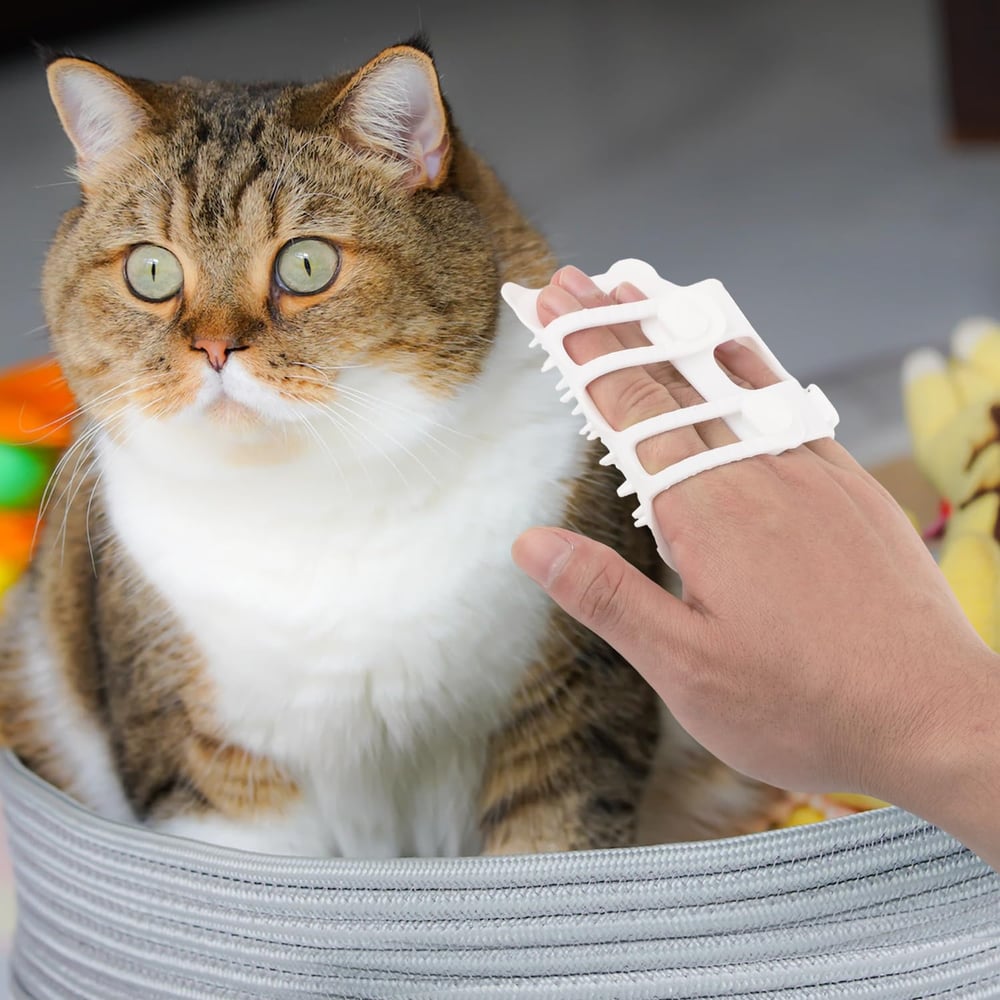 Kattenkriebelborstel
