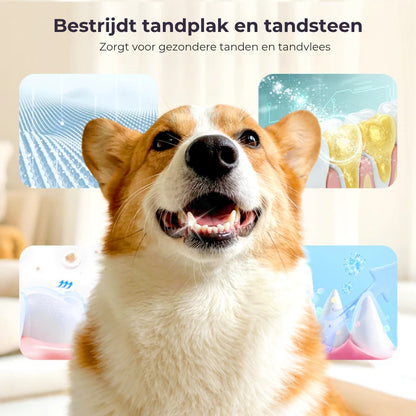Tandenreinigingsspray voor Huisdieren
