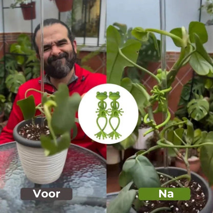 Leuke, Sierlijke Kikker Plantensteun (10st)
